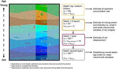 Age-Heterogeneity in Marine Sediments Revealed by Three-Dimensional High-Resolution Radiocarbon Measurements